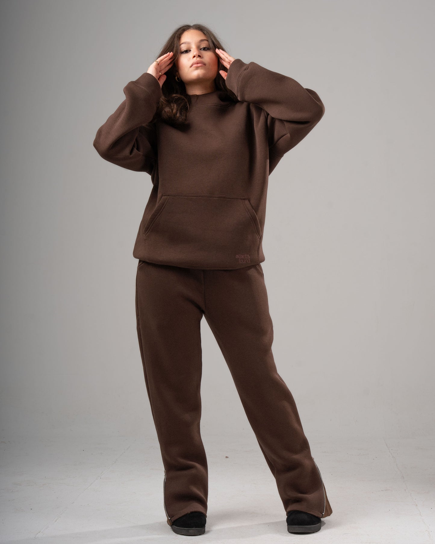 Premium 20 OZ Bazic Hoodie - Unisex BROWN