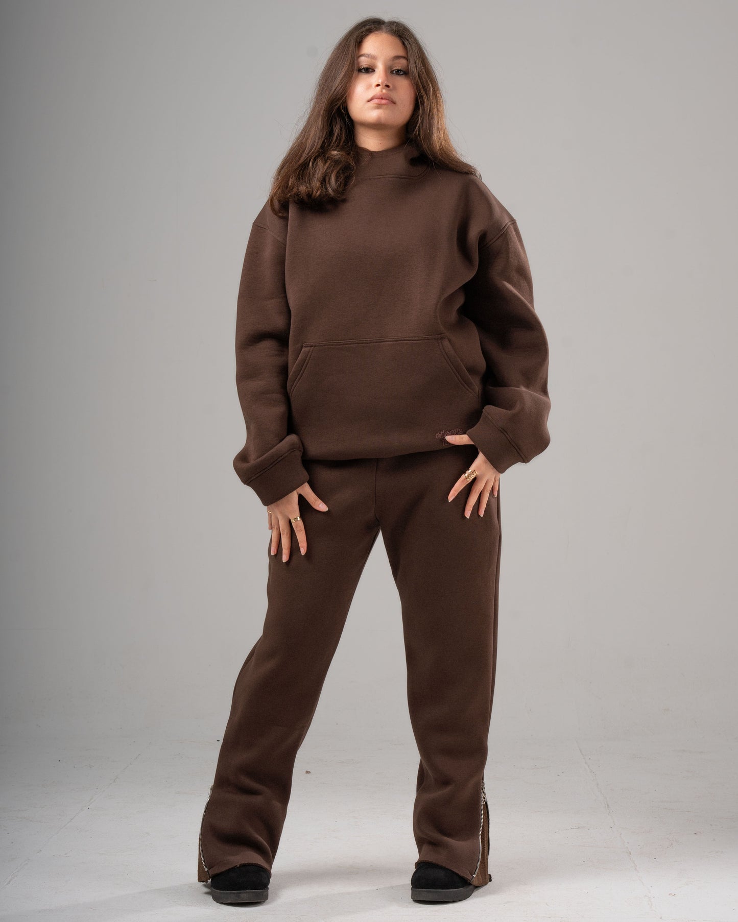 Premium 20 OZ Bazic Hoodie - Unisex BROWN